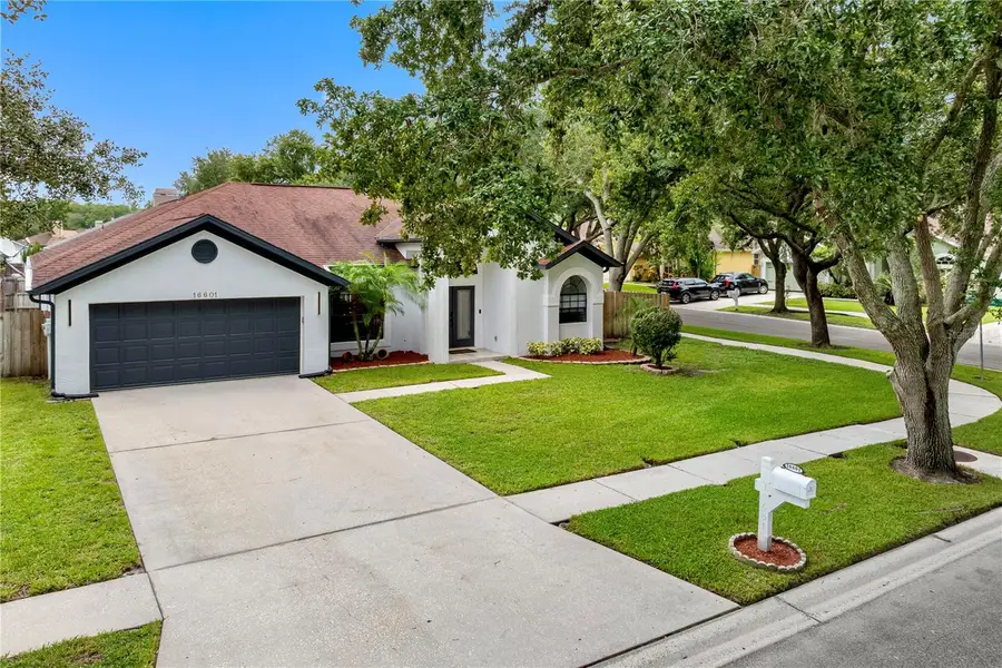 16601 Meadow Cove Street, Tampa, FL 33624 - #3