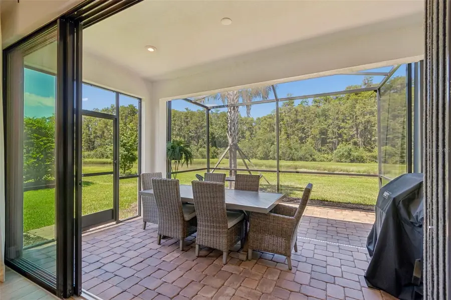 4333 Cairoli Court, Wesley Chapel, FL 33543 - #3