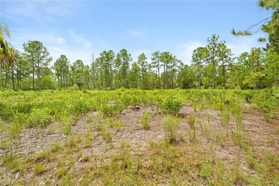 10052 Yellowbird Avenue, Weeki Wachee, FL 34614 - #2