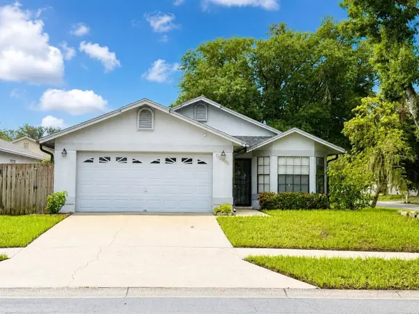 11301 Maybrook Avenue, RIVERVIEW, FL 33569