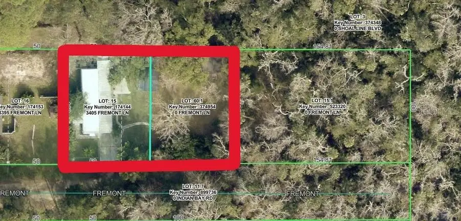 3405 Fremont Lane, Spring Hill, FL 34607 - #2