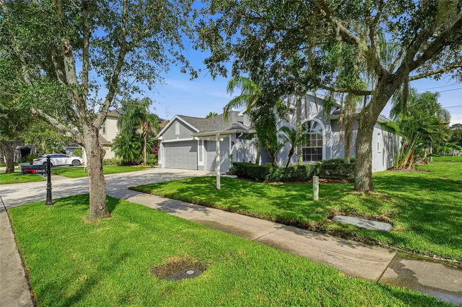 12018 Northumberland Drive, Tampa, FL 33626 - #3