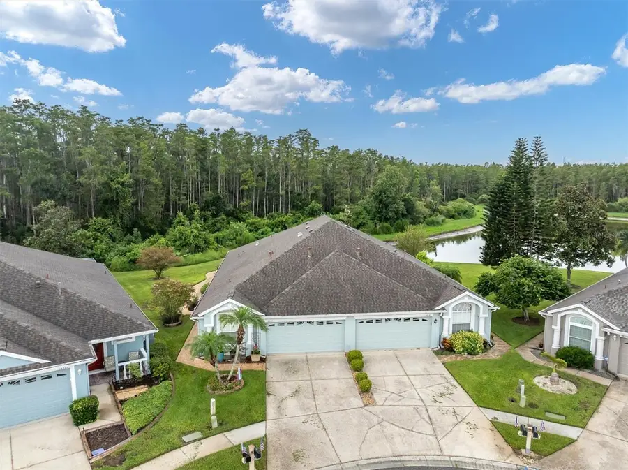 19320 Haskell Place, Land O Lakes, FL 34638 - #2