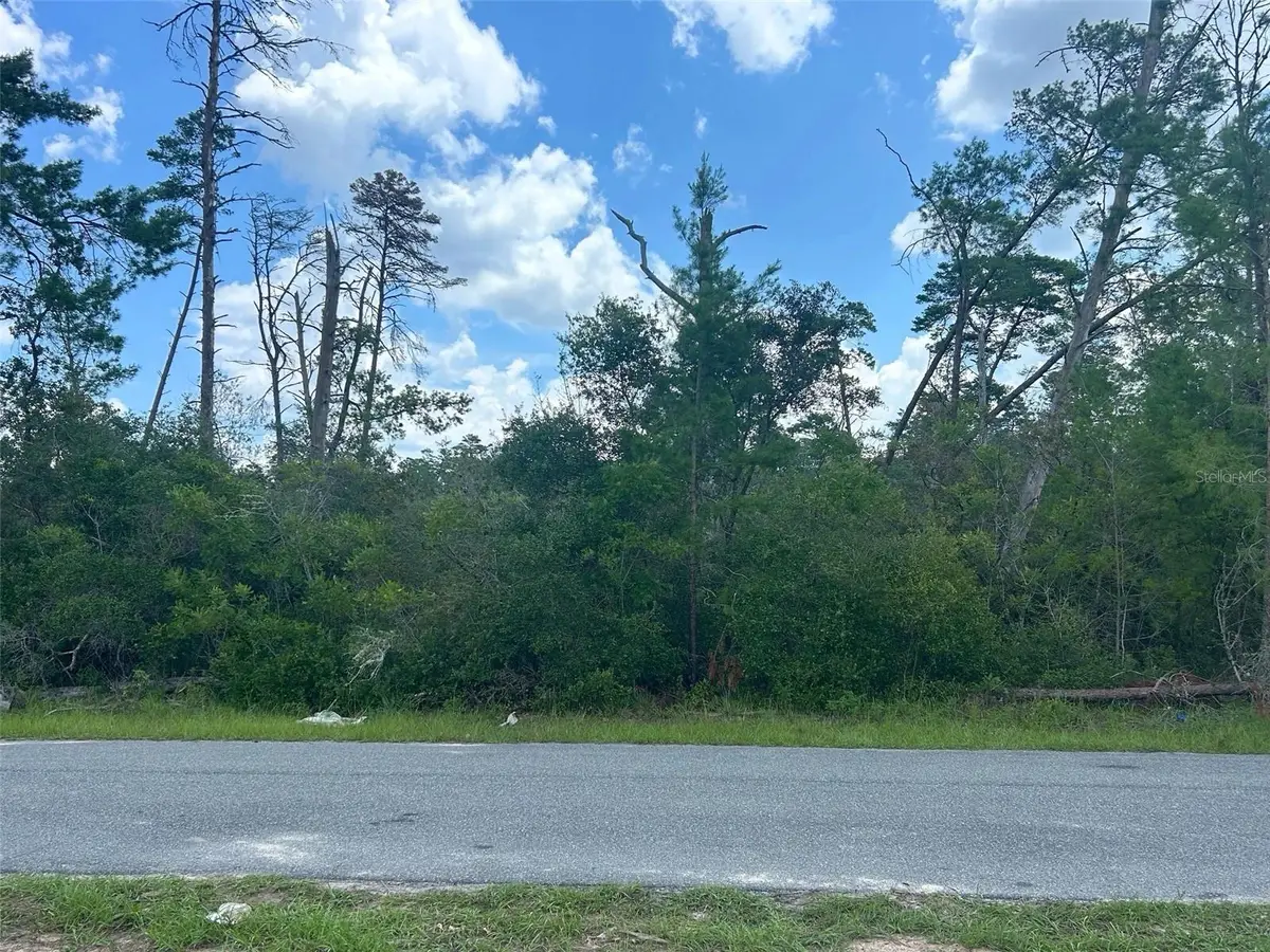 8191 N Feather Avenue, Citrus Springs, FL 34433 - #1