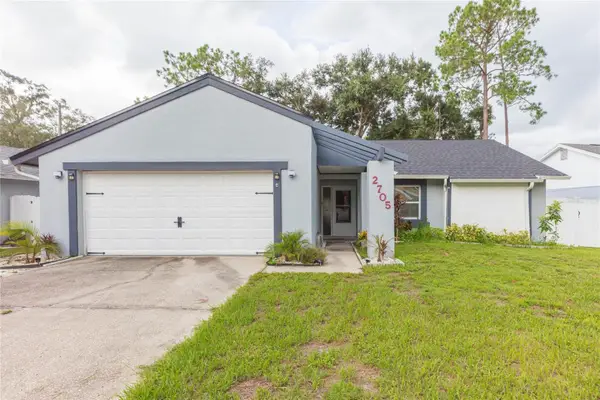 2705 Lakeville Drive, TAMPA, FL 33618