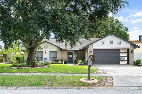 15747 Scrimshaw Drive, TAMPA, FL 33624