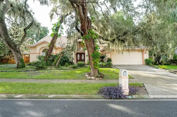 1336 Waterwood Drive, LUTZ, FL 33559