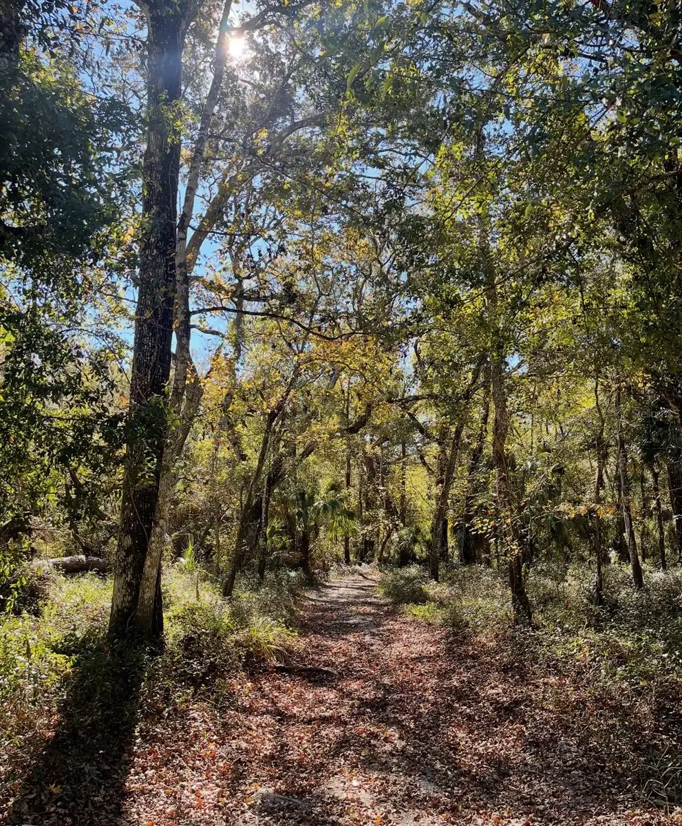 Tumbleweed Trail, Brooksville, FL 34604 - #1