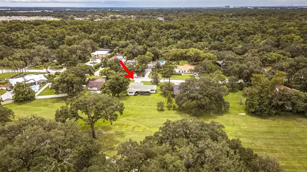936 N Riverhills Drive, TEMPLE TERRACE, FL 33617
