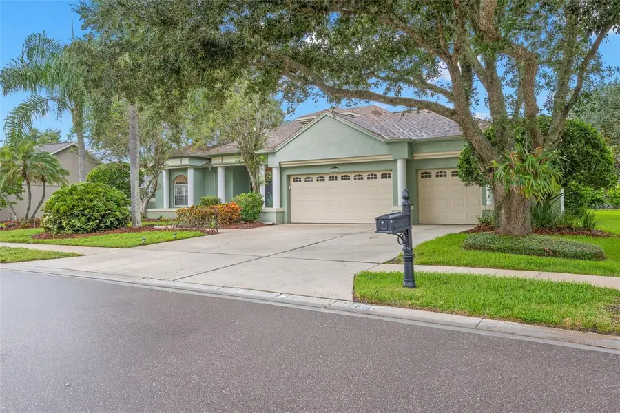5501 Stag Thicket Lane, Palm Harbor, FL 34685 - #3