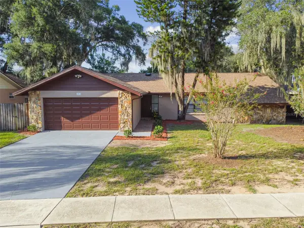 1010 Riflecrest Avenue, VALRICO, FL 33594