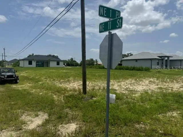 1029 NE 1st Place, Cape Coral, FL 33909 - #1