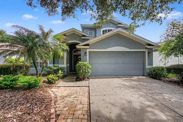 5418 Twin Creeks Drive, VALRICO, FL 33596