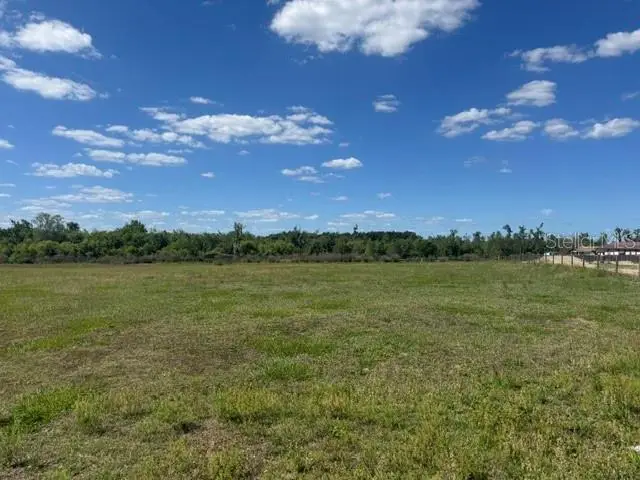 14182 Haynes Road, Dover, FL 33527 - #3