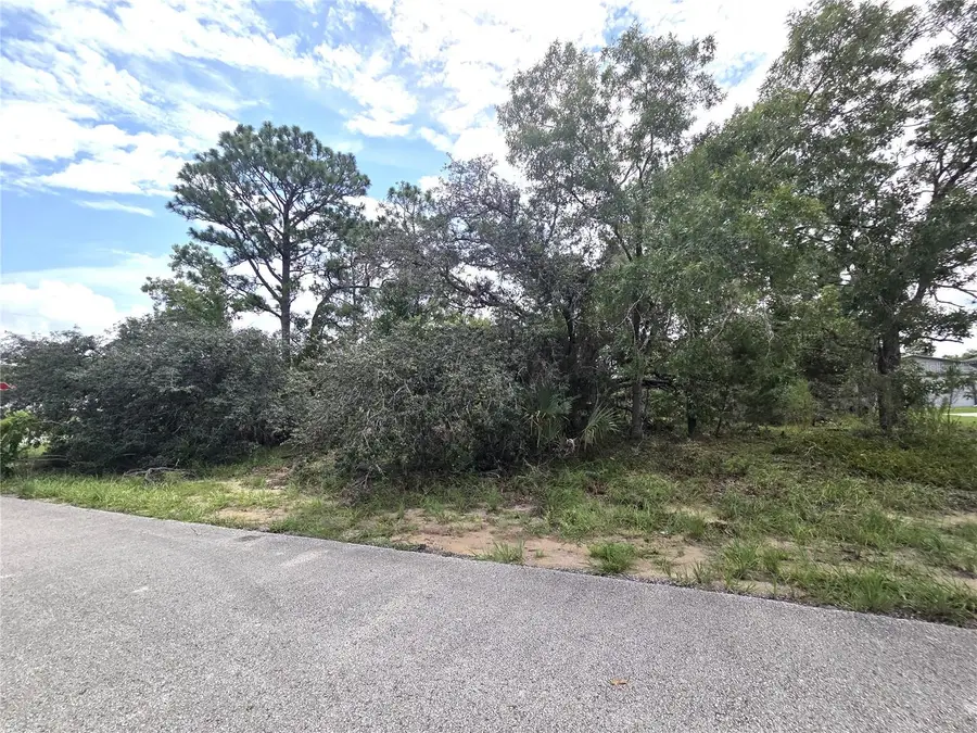 13106 Scottville Street, Spring Hill, FL 34609 - #2