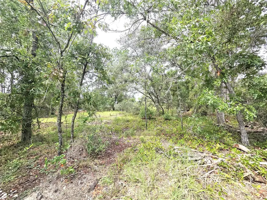 13106 Scottville Street, Spring Hill, FL 34609 - #3