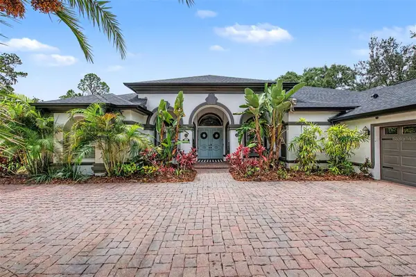 15532 Lake Grace Drive, ODESSA, FL 33556