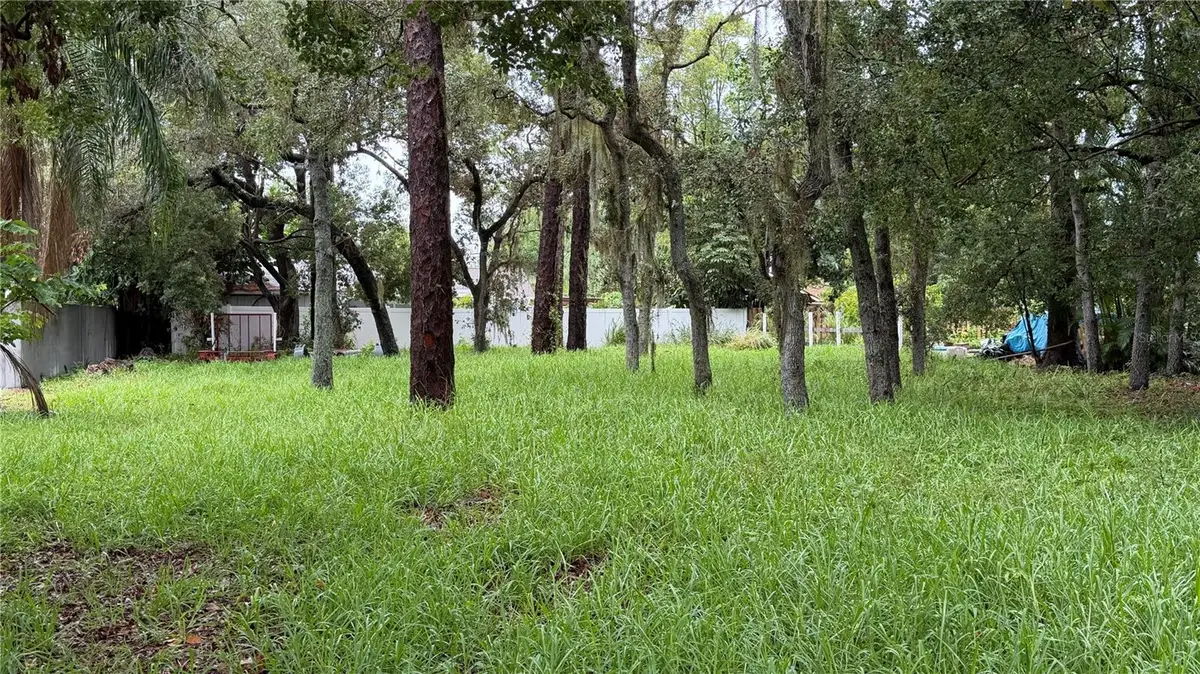 Tallahassee Drive, Tarpon Springs, FL 34689 - #1