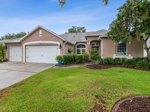 9209 Waterbird Drive, RIVERVIEW, FL 33578