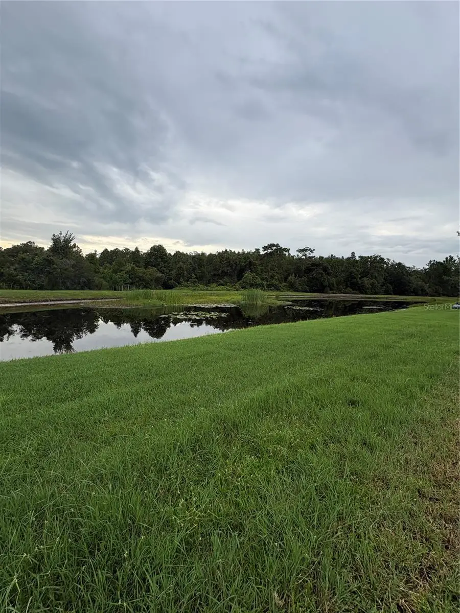 19939 Tamiami Avenue, Tampa, FL 33647 - #2