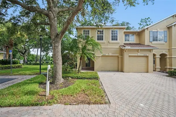 10536 Shady Falls Court, RIVERVIEW, FL 33578