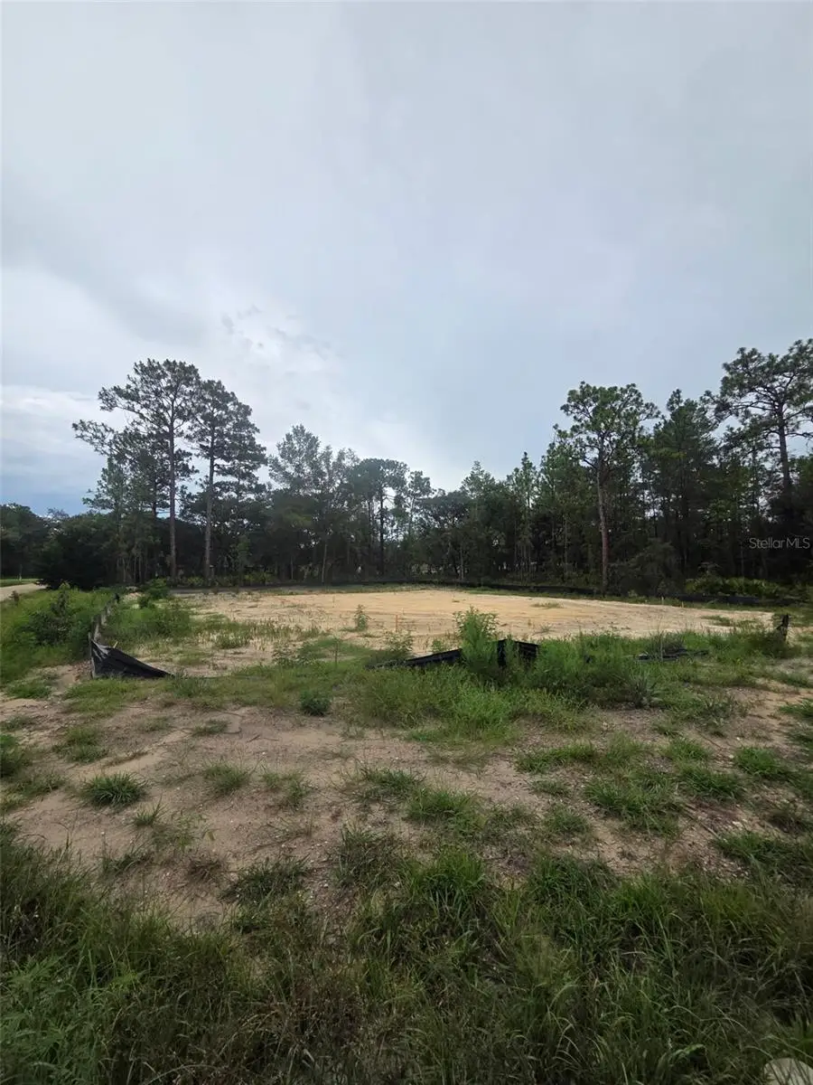 15326 Mottled Owl Road, Weeki Wachee, FL 34614 - #1