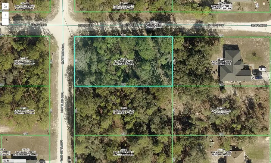 15326 Mottled Owl Road, Weeki Wachee, FL 34614 - #3