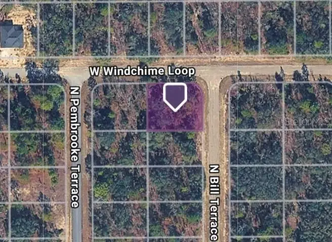 6548 N Bill Terrace, Citrus Springs, FL 34434 - #2
