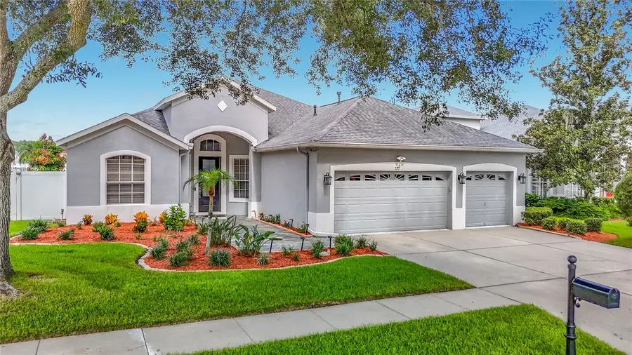 220 Ronja Lane, Valrico, FL 33594 - #3