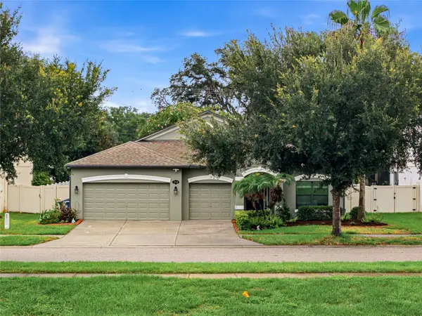 1008 Oakcrest Drive, BRANDON, FL 33510