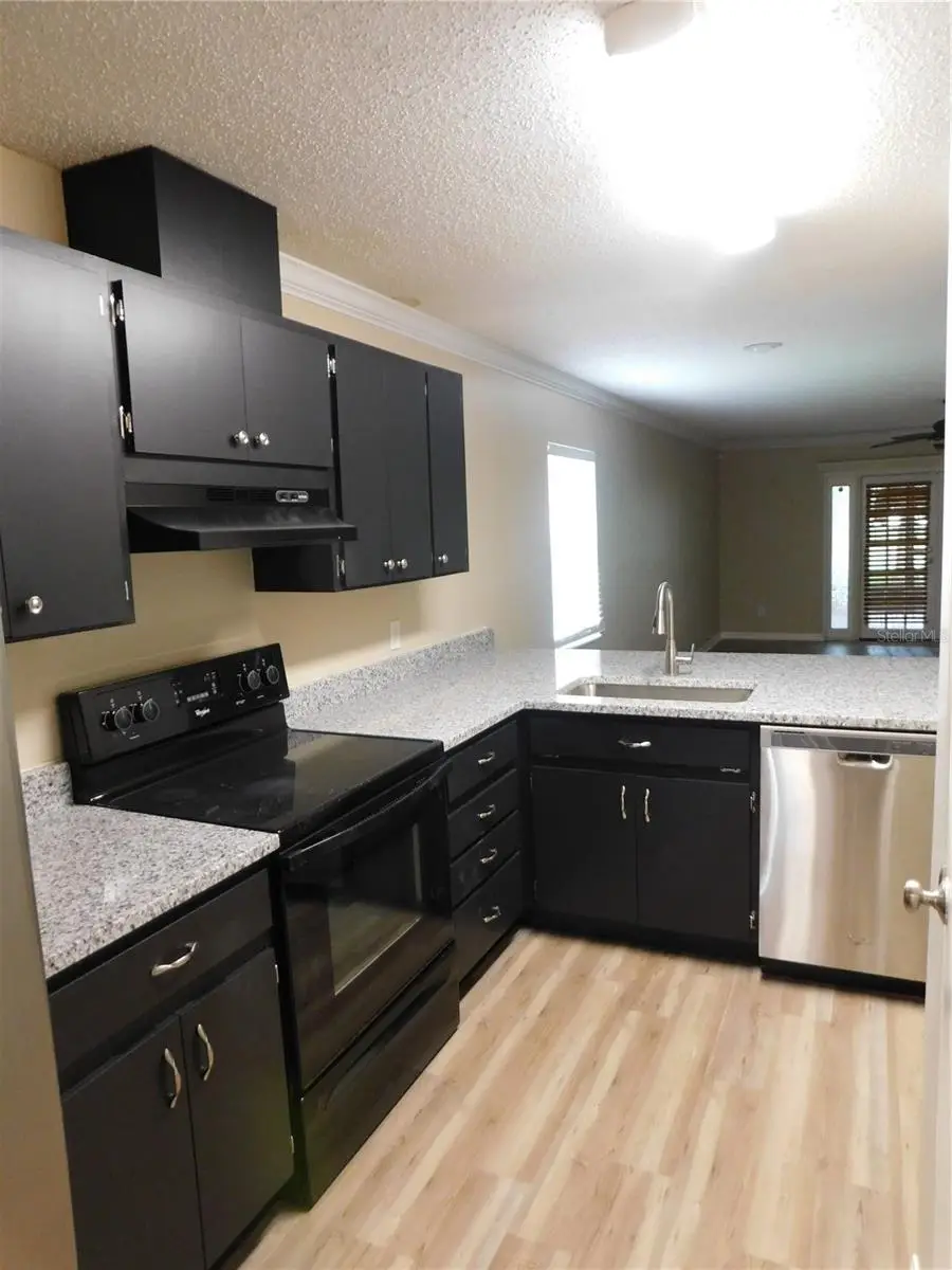 1628 Baker Road, Lutz, FL 33559 - #3
