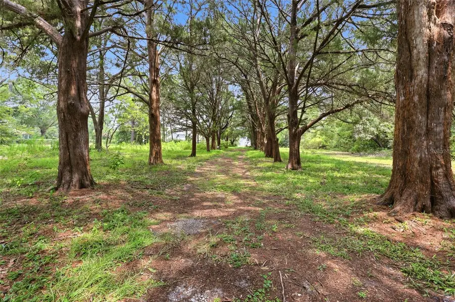 95289 Nassau River Road, Fernandina Beach, FL 32034 - #3