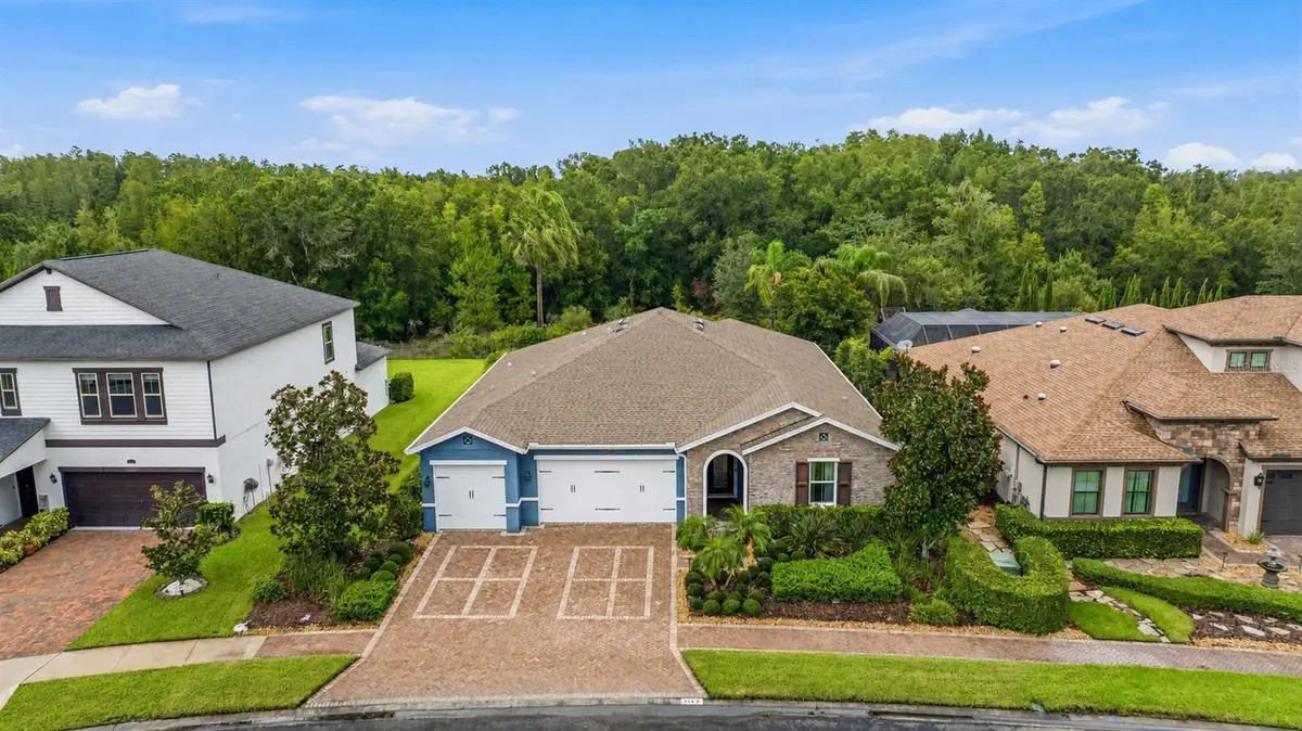 31321 Driscoll Drive, Wesley Chapel, FL 33543 - #1