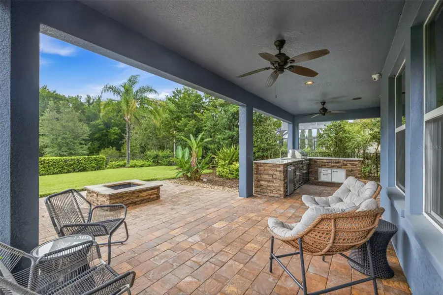31321 Driscoll Drive, Wesley Chapel, FL 33543 - #2
