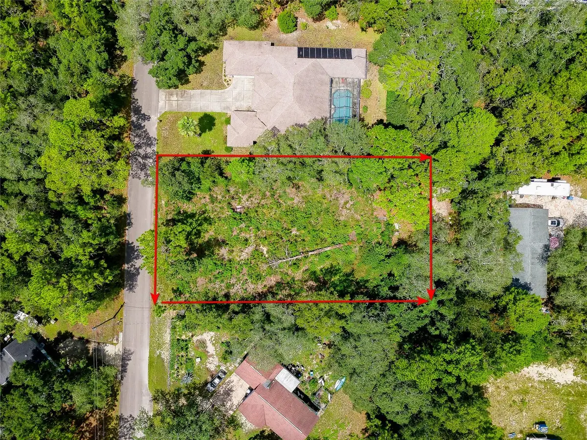 9041 Helene Way, Weeki Wachee, FL 34613 - #1