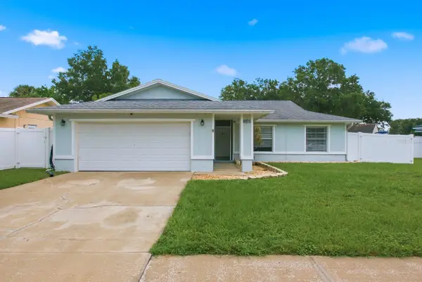 14309 Arbor Hills Road, TAMPA, FL 33625