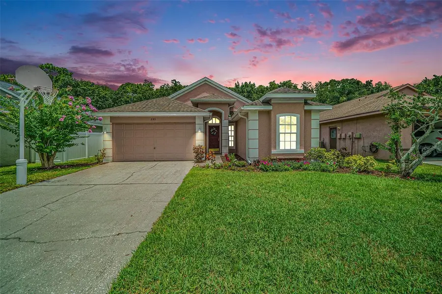 333 Tavernier Drive, Oldsmar, FL 34677 - #2
