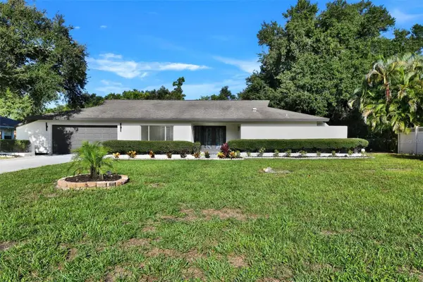 207 Dunbridge Drive, PALM HARBOR, FL 34684