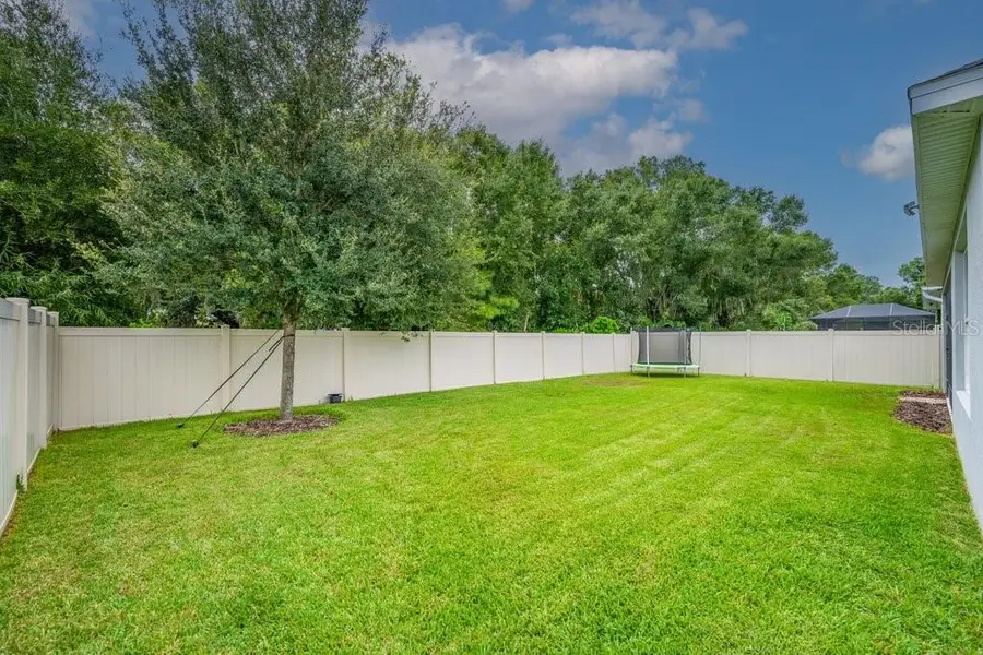 17651 Bright Wheat Drive, Lithia, FL 33547 - #3