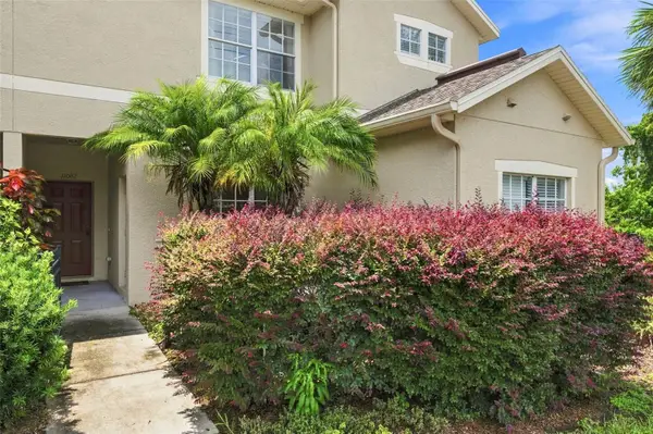 11082 Winter Crest Drive, RIVERVIEW, FL 33569