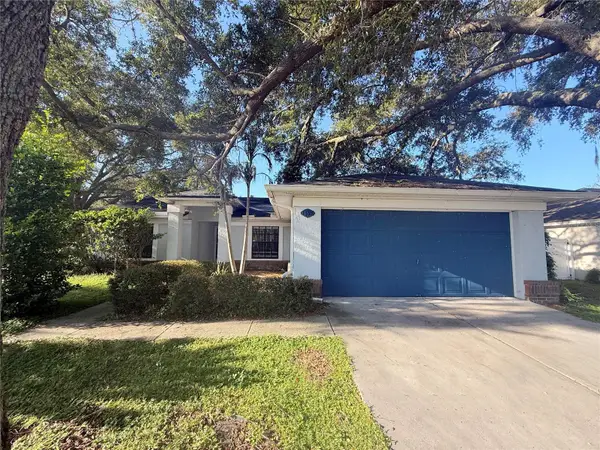 13311 Hollowbend Lane, RIVERVIEW, FL 33569