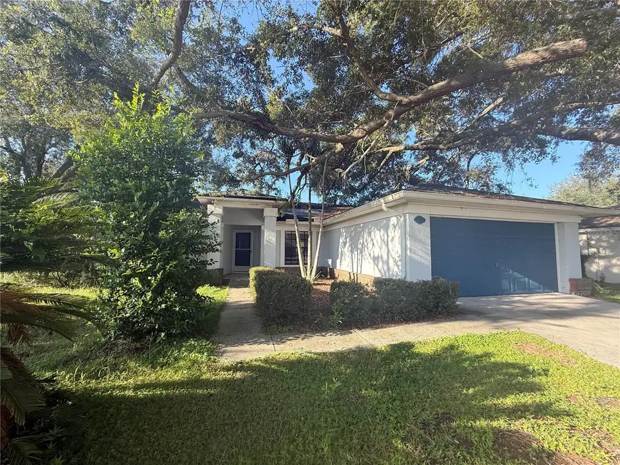 13311 Hollowbend Lane, Riverview, FL 33569 - #2