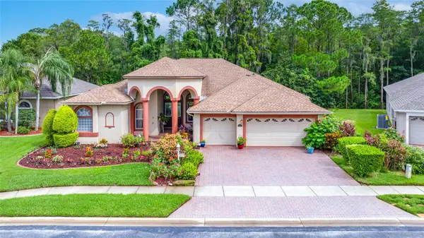 11421 Strathaven Court, TRINITY, FL 34655