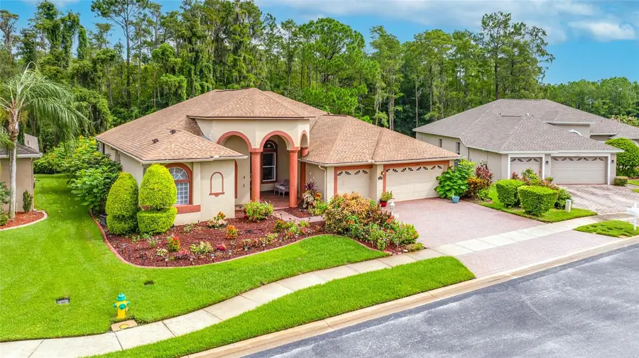 11421 Strathaven Court, Trinity, FL 34655 - #3
