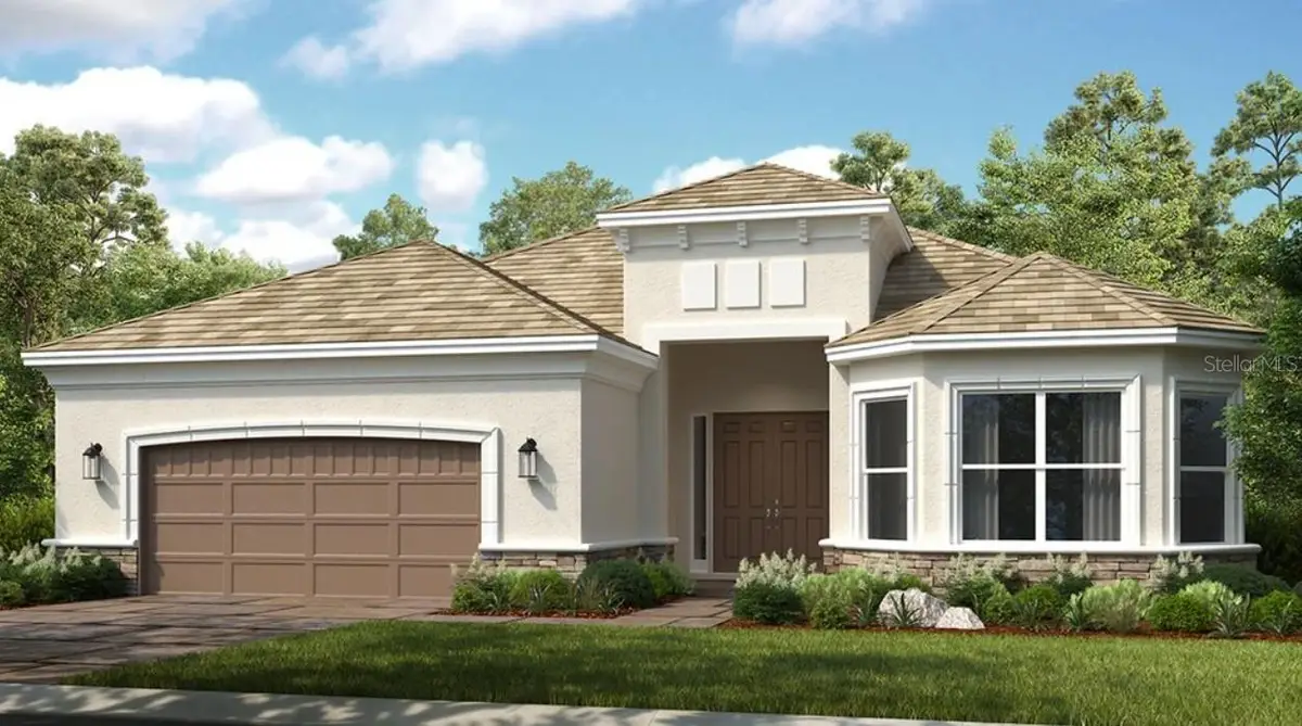 29680 Imperati Boulevard, Wesley Chapel, FL 33543 - #1