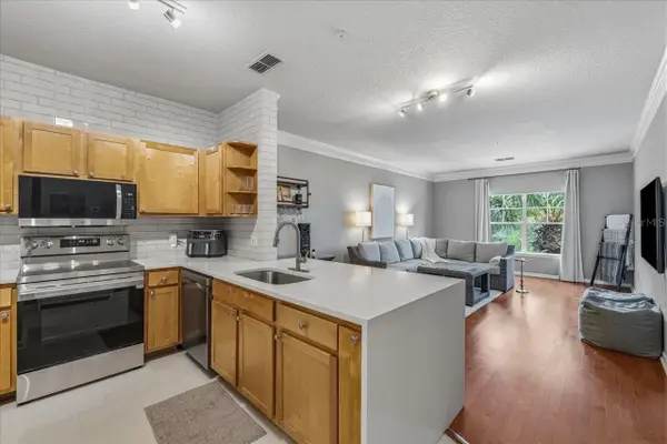 4207 S Dale Mabry Highway #8308, TAMPA, FL 33611