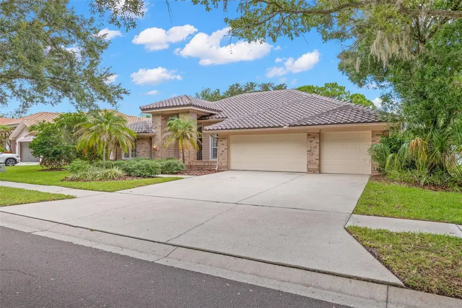1730 Captiva Drive, Oldsmar, FL 34677 - #3