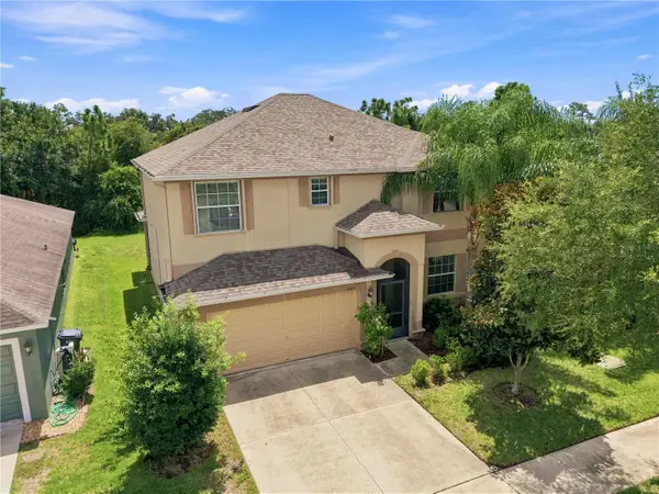 16613 Myrtle Sand Drive, WIMAUMA, FL 33598