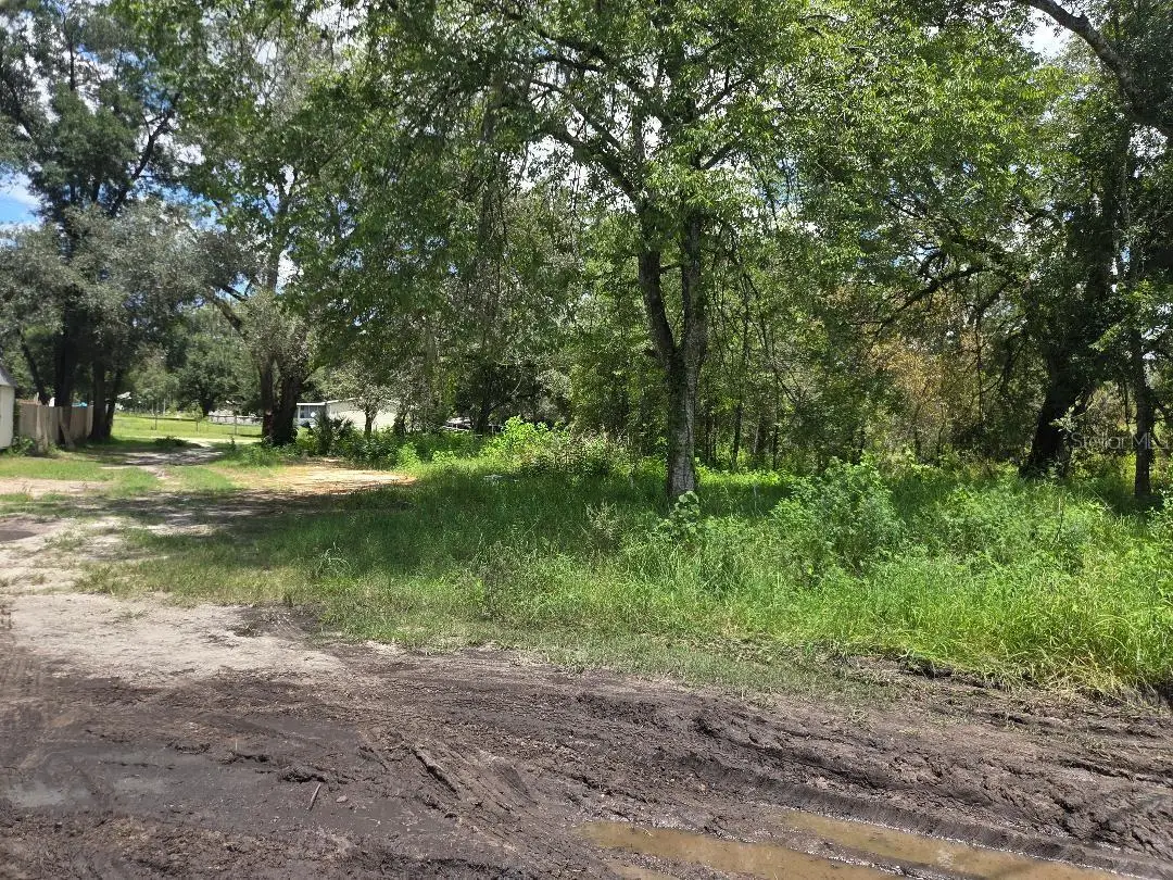 39249 Lizabeth Circle, Zephyrhills, FL 33542 - #1