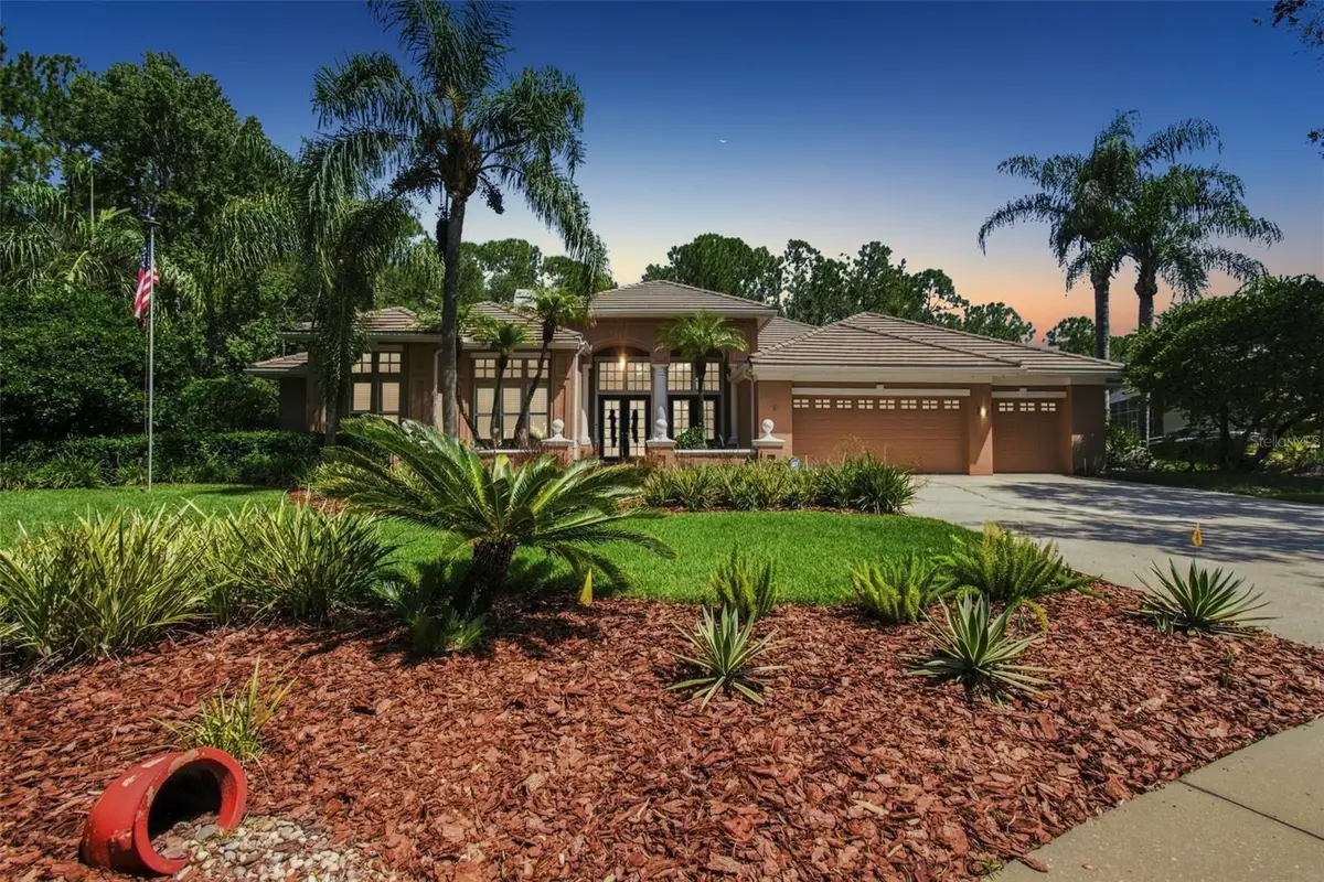 9212 Pine Island Court, Tampa, FL 33647 - #1